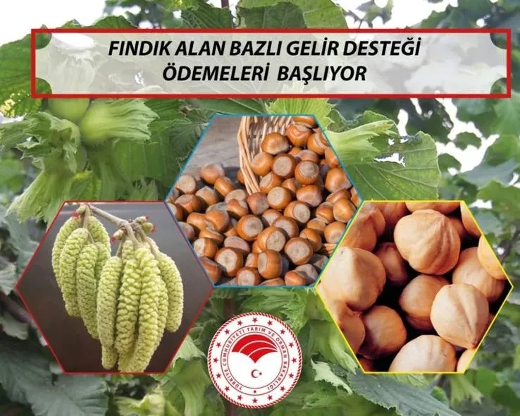 Ordu’da Üreticiye Dev Destek
