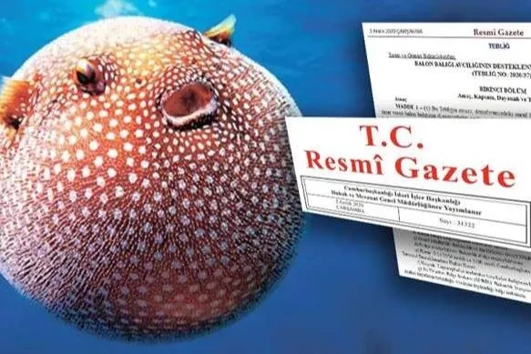 Yeni Düzenleme Resmi Gazete